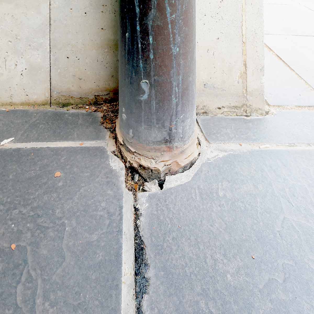 informe-estado-vivienda Informe estado vivienda
